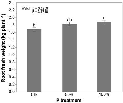 The Phosphate Inhibition Paradigm: Host and Fungal Genotypes Determine Arbuscular Mycorrhizal Fungal Colonization and Responsiveness to Inoculation in Cassava With Increasing Phosphorus Supply